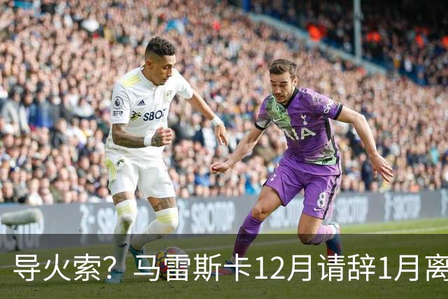导火索？马雷斯卡12月请辞1月离任，蓝军12月仅2胜且最终赛季崩盘