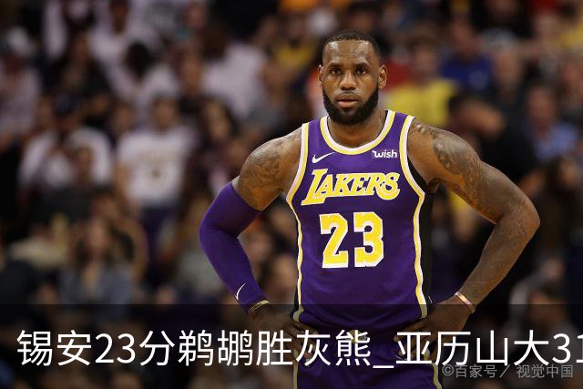 锡安23分鹈鹕胜灰熊 亚历山大31+10雷霆屠公牛